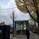 신기주공아파트 ( 2차앞) | [부동산 임장] 개포동 재건축 아파트(feat.개포주공5단지,대청)