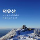 제 165 차 정기산행 - " 덕유산(눈꽃산행) " 좌석배치 이미지