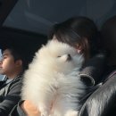 혠즈네일 이미지