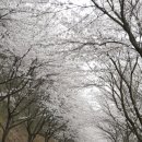 고남저수지 이미지