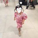 양지수선