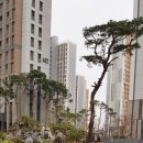 센트럴자이4단지 상가 앞 이미지