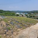 효촌1리마을회관 이미지