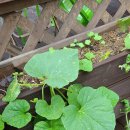 넝쿨공인중개사사무소 이미지