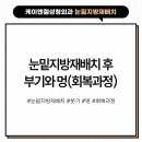 케이엔젤성형외과의원