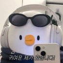 쌈마이대패천안성성점