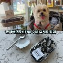 군자역카페 개인취향 애견동반가능 수제 디저트 맛집