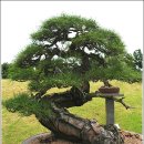 생각하는정원 이미지