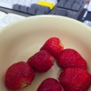 [자연원]오클렌즈 1일 후기