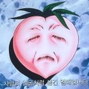 카페042