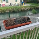 (의)가산의료재단 광동병원 이미지