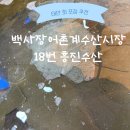 흥진사 | [태안 : 백사장어촌계 수산시장 '흥진수산'] 태안 찰광어 회 포장