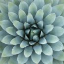 승선농장 이미지