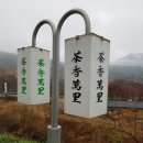 차향만리 이미지