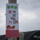 환이네농장 이미지