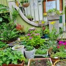 생각나눔작은도서관 이미지