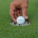 선학골프 이미지