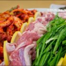 가야생오리 이미지