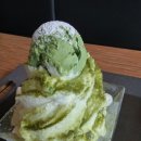 스다찌 | 주말_먹부림