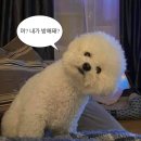 등갈비꾼 - 통영시 무전6길 48 | [대구 달서구] 탱글탱글 식감이 예술인 상인동 쪽갈비 맛집 "🍖등갈비꾼🍖" 후기