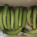 빛들농장 이미지