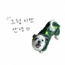 구미에서 대구 트레이더스까지, 먹부림과 집들이 장보기 (feat. 형곡동 들안길, 휴게소 간식 솔직후기)