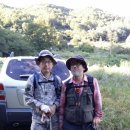 심마니 산약초 이미지