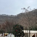 아무르베이커리 이미지