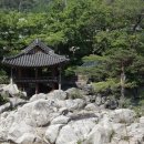 고향나들이 이미지