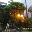 아지오(AGIO) 이미지