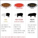 이베리코공장