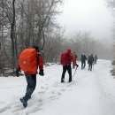 산에는 눈 내리고(춘천, 새버덩→대룡산,776m,727m,임도,대룡산→곰실) 이미지