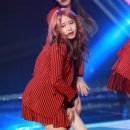 귀엽댕 이미지