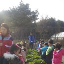 큐리어스어린이집 이미지