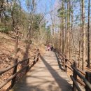 청계산 산책 후 들른 보라색 지붕 카페, 산타벨루가 후기