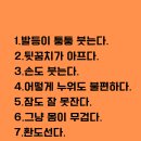 블랑드스킨