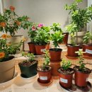 밀레니엄슈퍼 이미지