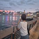 미도아파트_하 | 여행] DAY2 코스ㅣ제니베이커리·란퐁유엔·익청빌딩·초이홍아파트·딤딤섬까지! 홍콩 둘째날 일정 공유