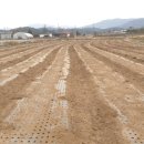 대풍슈퍼 이미지