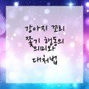 대경동물병원 | 연수구동물병원 강아지 꼬리 쫓는 이유는?