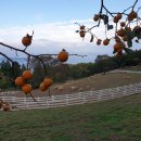 남해목장 이미지