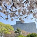 그랜드하얏트 서울 :: 스테이크하우스 위켄드 브런치 봄시즌 후기 / 메뉴 소개
