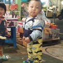 정민상회 이미지