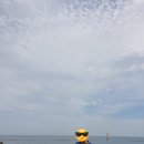 이마트24 동해어달해변점 이미지