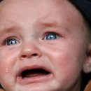 노박의원 이미지