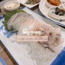 [통영 다찌 추천] 1인 3만원 가성비 다찌집 “호두나무다찌”