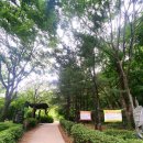 서대문지역자활센터(카페사업단 커피지기)