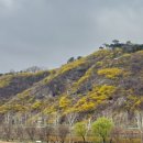 버스정류장(17397) 이미지