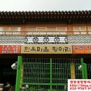문학동항아리화분