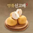 신선 이미지
